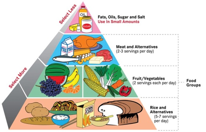 low-fat diet low fat diet pyramid